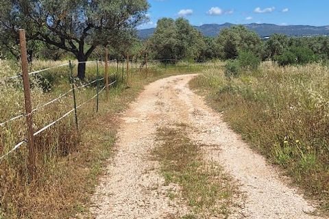 Landejendom i Ginestar, Tarragona, Ginestar - € 375.000 | Ref: CC845 - foto 42